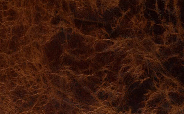 Oil Pull Ups Leather 01